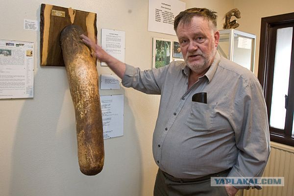 Еду покорять Москву