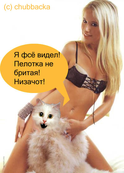 Фотожаба: Ксюша Собчак