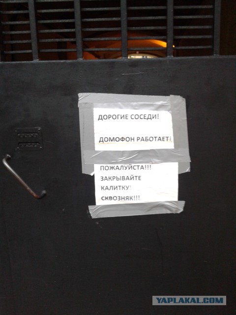 Подборка забавных картинок