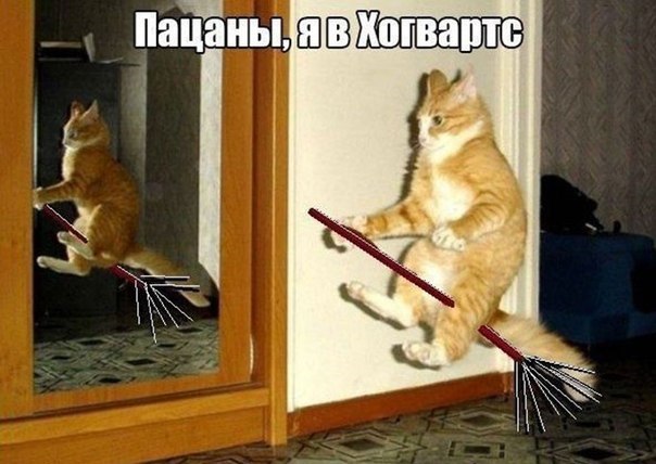 Подборка картинок из сети