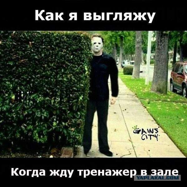 Веселые картинки