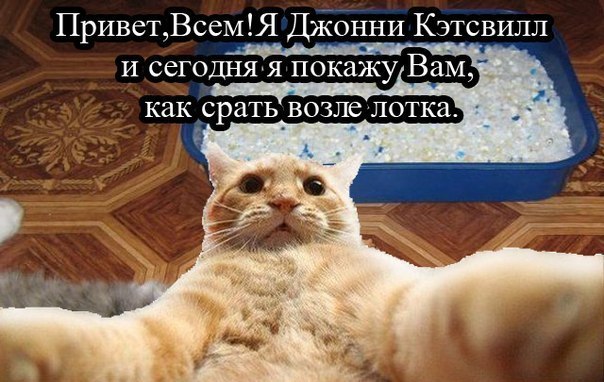 День Рождения Джонни Ноксвилла и не много о "Чудаки"