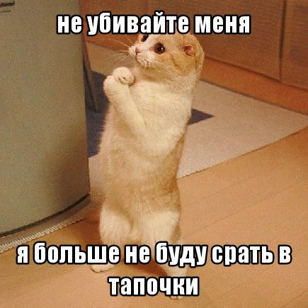 Мохнатые беспредельщики