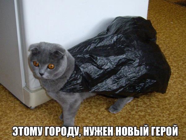 Мохнатые беспредельщики