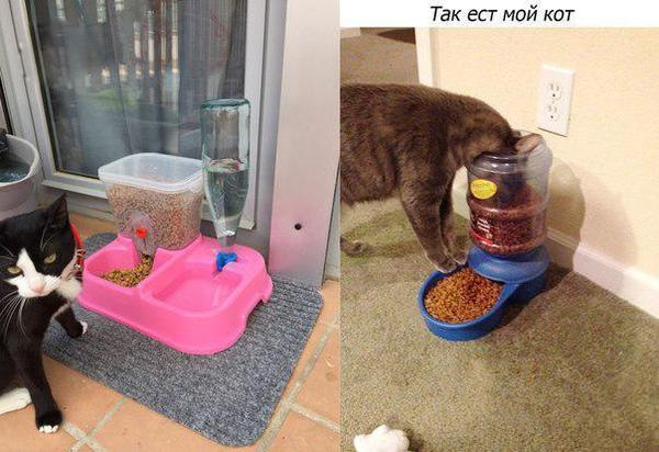 Подборка интересных и веселых картинок