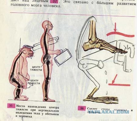 Раскрась рисунок так, чтобы встретиться с психологом (Часть 2)