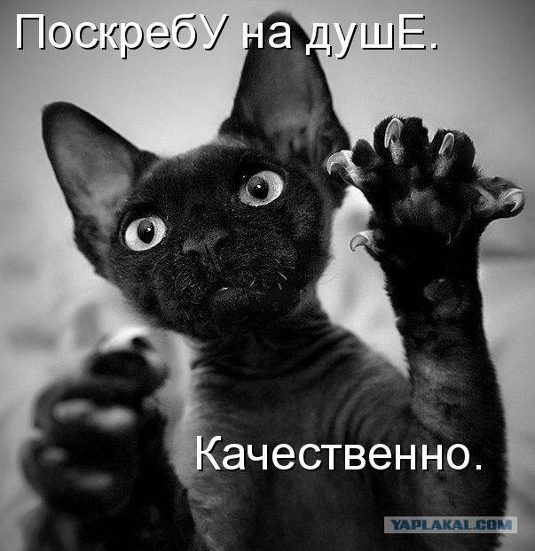 Подборка "баянов" со всего интернета