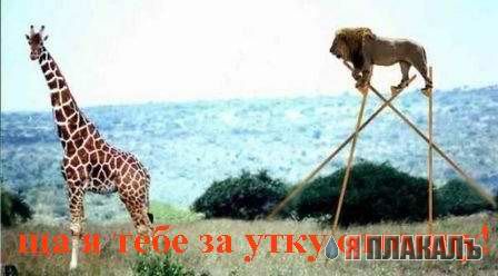 Эй, ты! А ну вон отсюда!