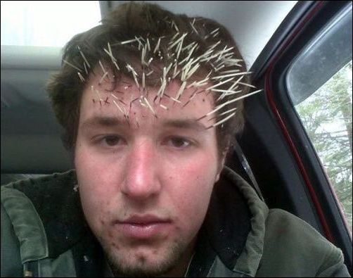 Подборка интересных и веселых фото