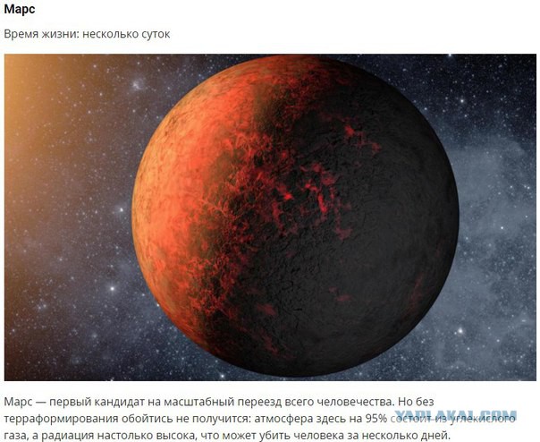 Ломехуза или модель умирающего общества