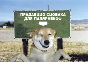 Фотожаба: Интересный подсчет населения