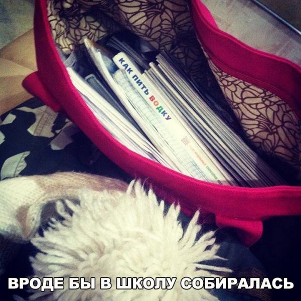 Есть смешные (картинки)