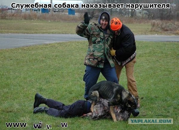 Для Поднятия Настроения 11