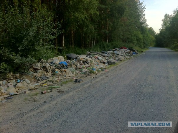 Слесарь из Воронежа Сергей Боярский каждую неделю вывозит мусор из леса