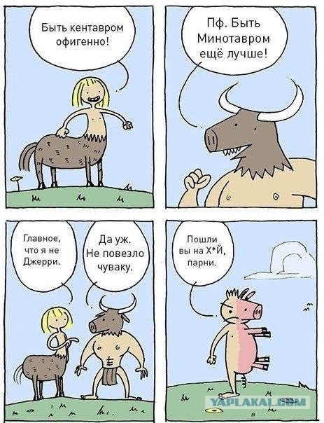 Всякое разное из интернета