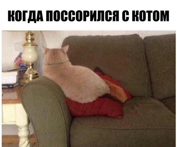 Всякое разное из интернета