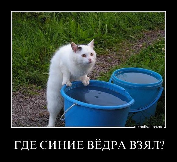 Два десятка картинок для позитивного настроения!
