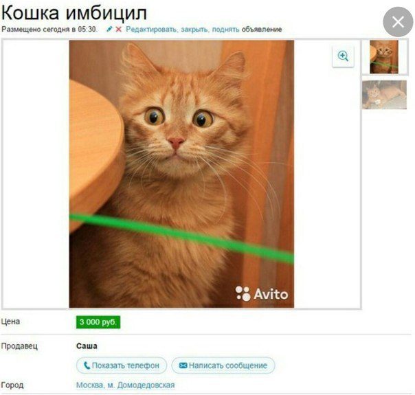 Приколы с авито