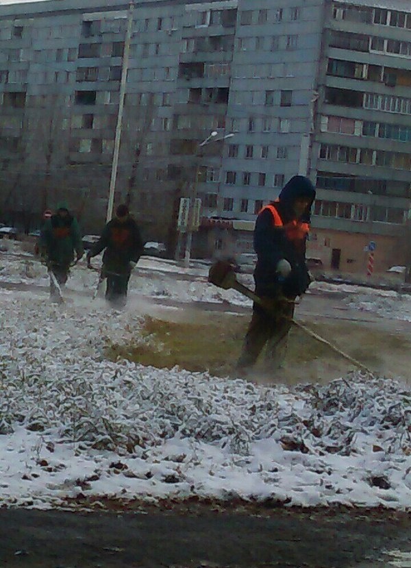 Я понятия не имею, что здесь происходит