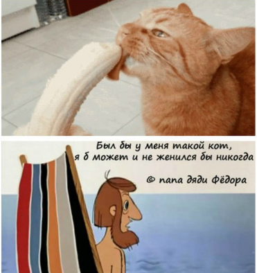 Забавная игрушка