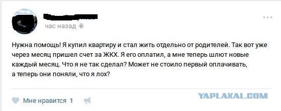 Смешные картинки из сети на 26.10.16