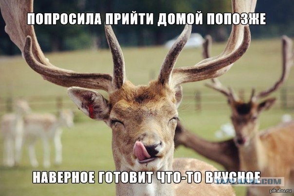 Юмор не для всех