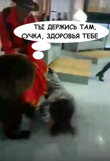 Медведь набросился на девушку