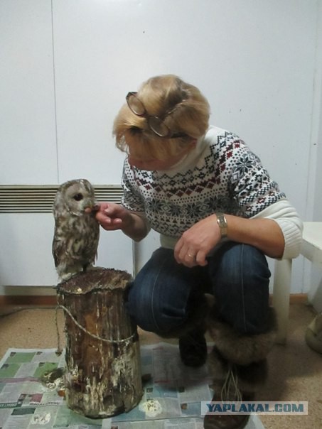 Сделала чехол из кожи