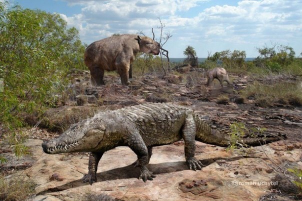 Мегафауна: 10 невероятных созданий доисторической Австралии