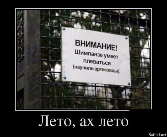 Картинки всякие для поднятия настроения!