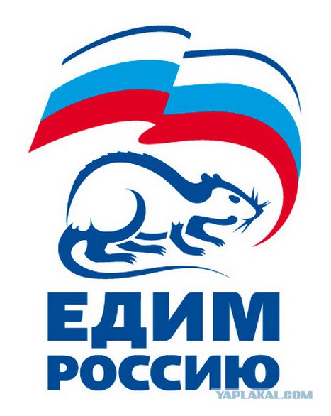 Сын краснодарской судьи, сыгравшей дочери скандальную свадьбу, идет на выборы в ЗСК