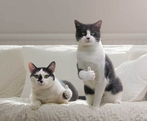 Подборка интересных и веселых картинок