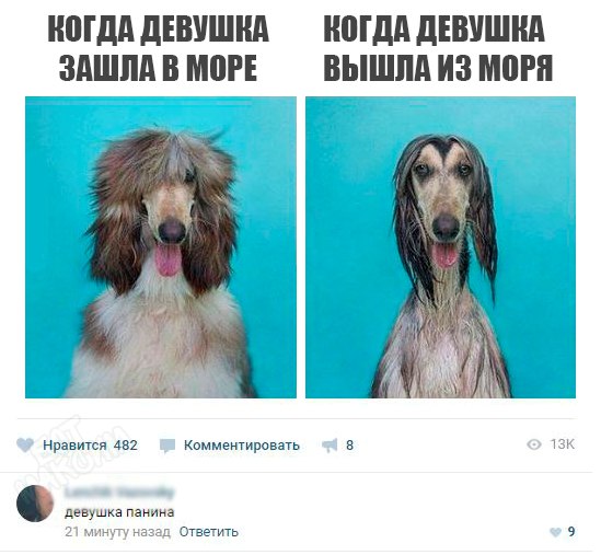 Журнал школьный деградант