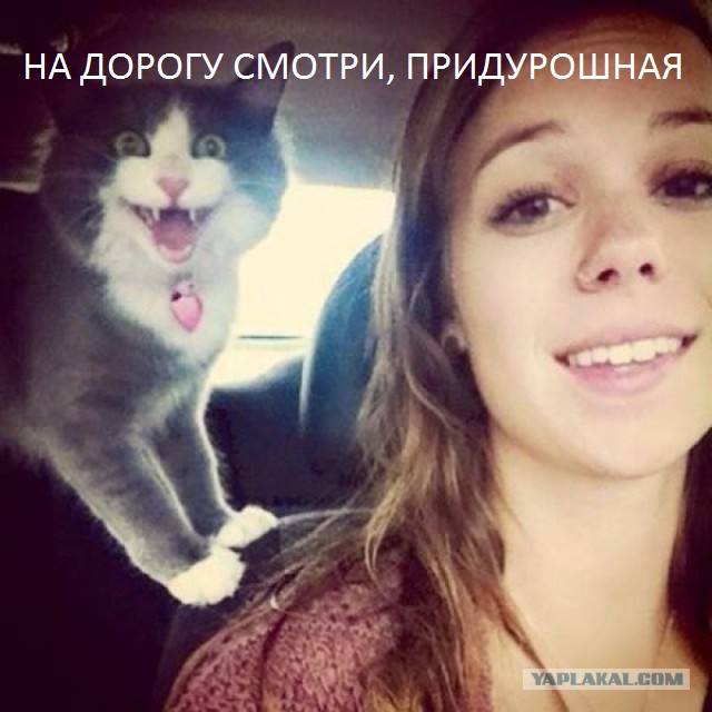 Картинки всякие разные