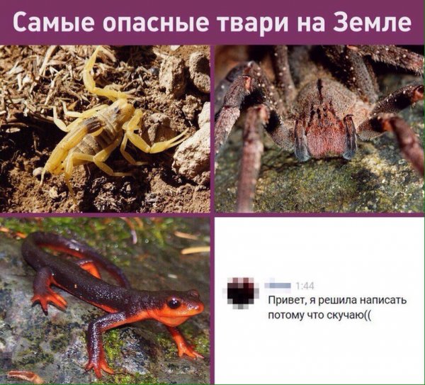 Приколы в стиле "регресс"