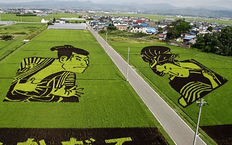 Pimp My Rice Paddy (7 фото)