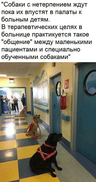 Улыбайтесь. Ну улыбайтесь же!