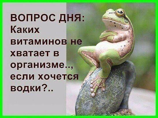 Из инэта, всякое