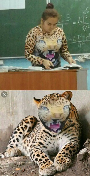 Нестандартный юмор
