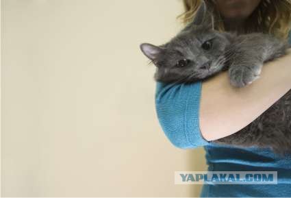 Котосреда (06.05.2009)