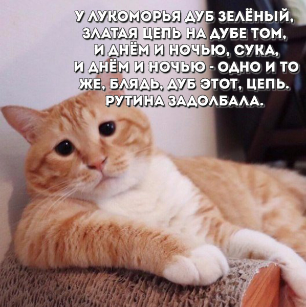 Специфический юмор