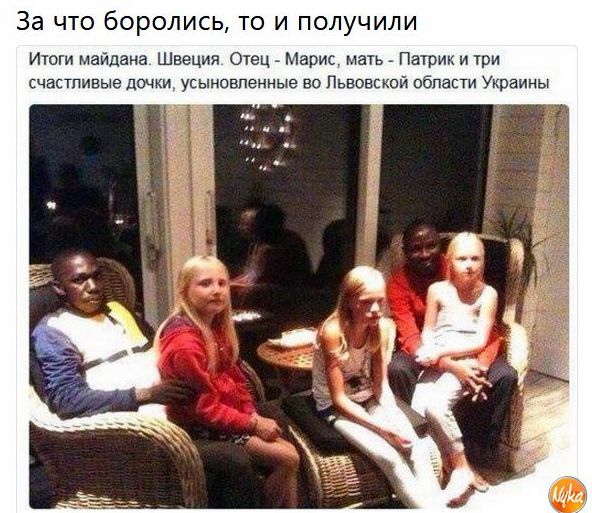 Куда катится мир в "толерантной Дании"?! Пингвины-педики устроили похищение птенца у "плохих родителей"