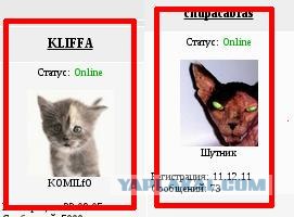 Найди кота