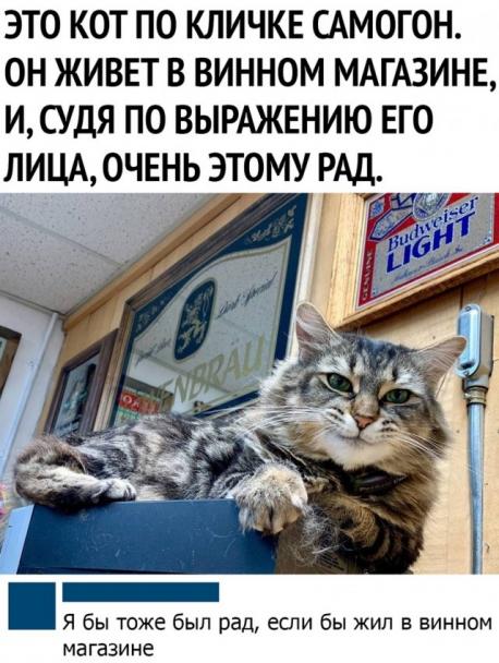 Немного картинок на вечер 21.07.2019