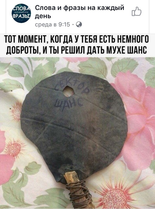 Картинки, чтоб улыбнуло 19.11.19