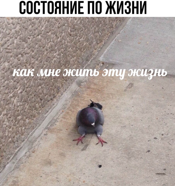 Чуток картинок. 08.01.2020
