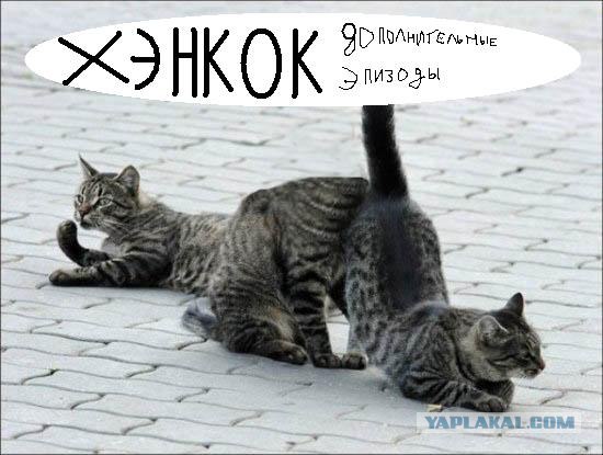 Подпиши фото!