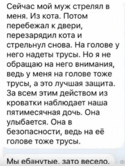 5 ошибок хозяина, которые сокращают жизнь домашней кошки
