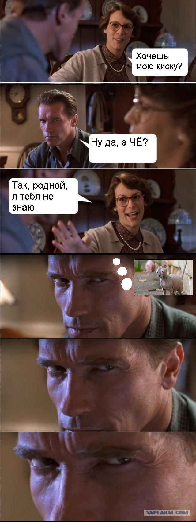Арни явно что-то задумал!