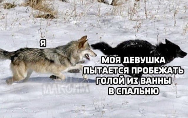 Картинки с надписями и всякие жизненные фразы 7.01.2021
